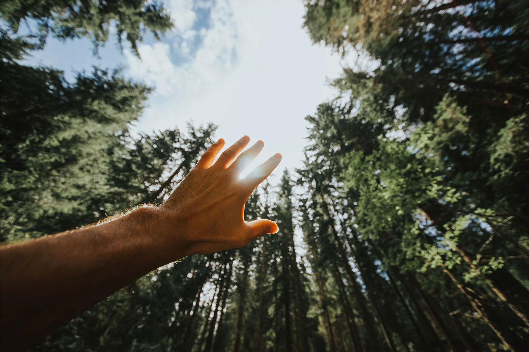 Baño de Bosque: la bebida isotónica antiestrés